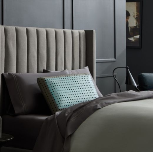 CarbonCool™ LT + OmniPhase™ Pillow